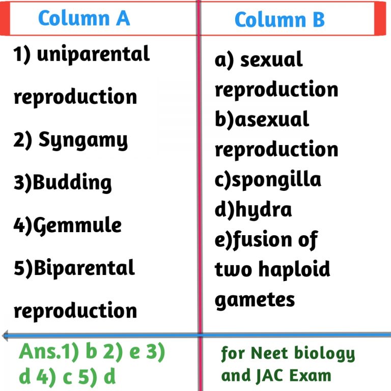 biology-matching-questions-sample-1for-12th-jac-exams-biologysir