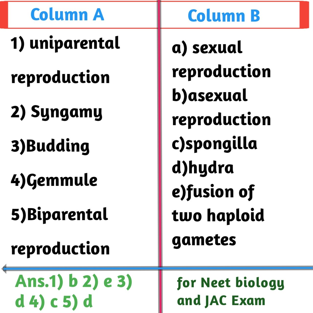 Biology Matching Questions Sample 1for 12th JAC Exams Biologysir