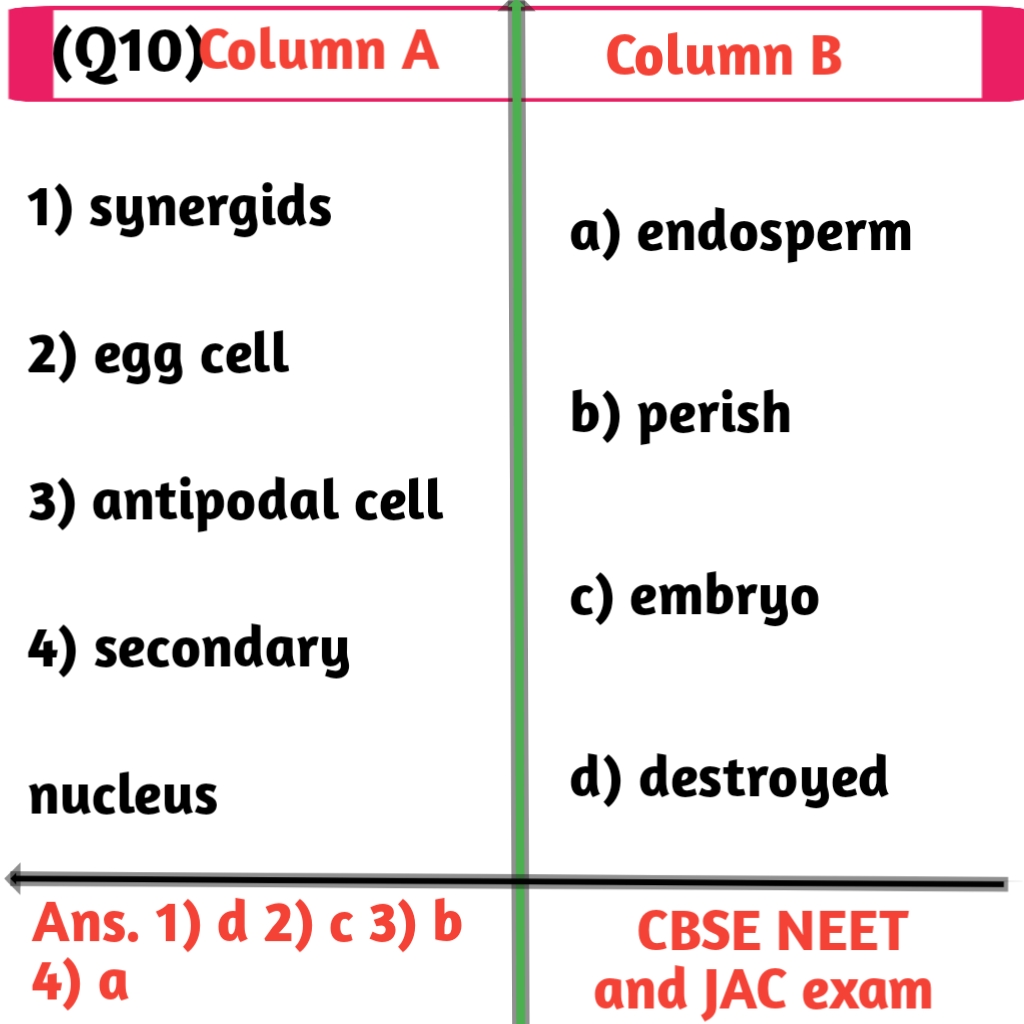 Biology matching questions sample-2 for class 12th-JAC Exams.