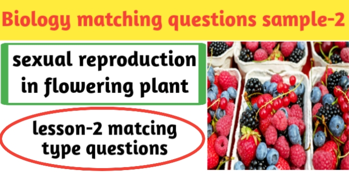 Biology matching questions sample-2 for class 12th-JAC Exams.