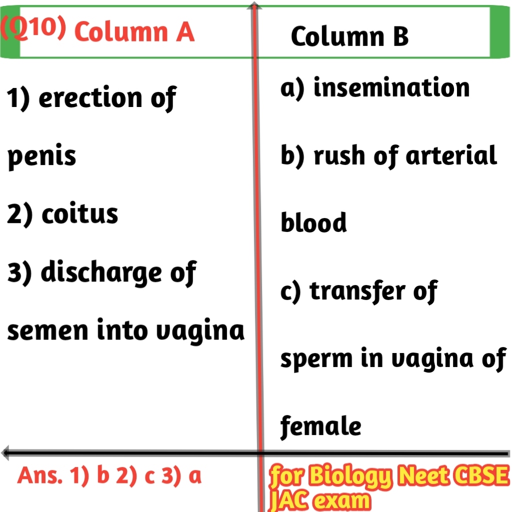 Matching question examples in biology for class 12th CBSE-JAC Exams