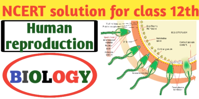 ncert solutions for class12 biology chapter 3- CBSE-JAC exams
