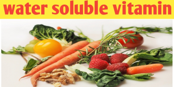 Vitamin soluble in water : B- complex and Vitamin C