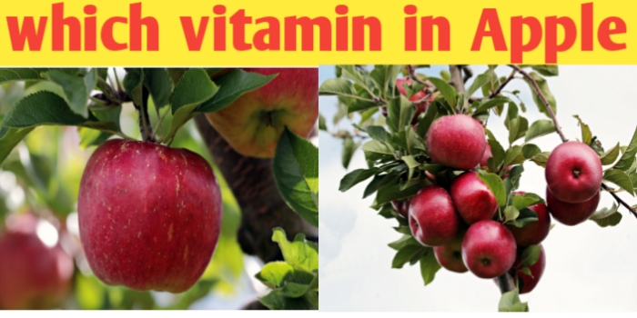 What vitamin in apple and their nutritional value