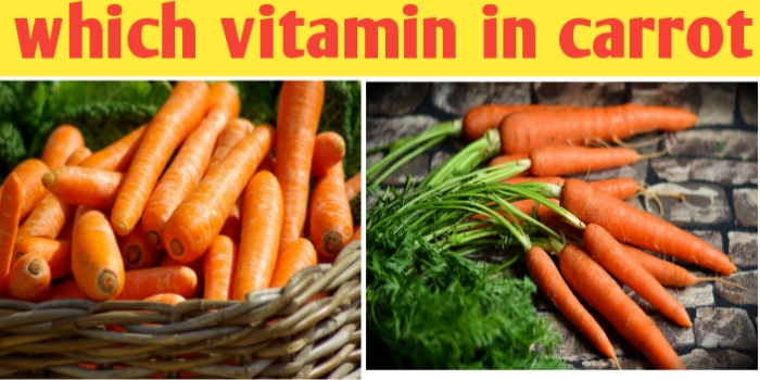 What vitamin in carrot and their nutritional value