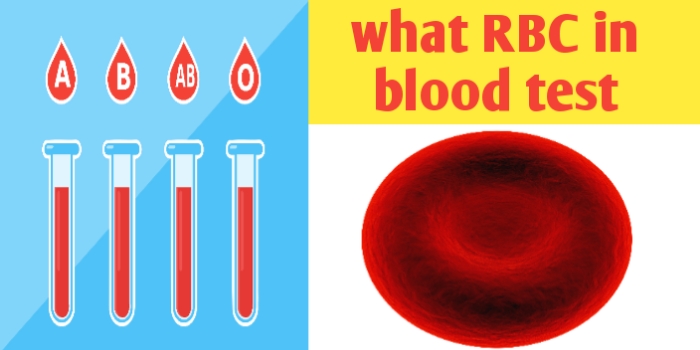 What RBC in blood test and understanding CBC