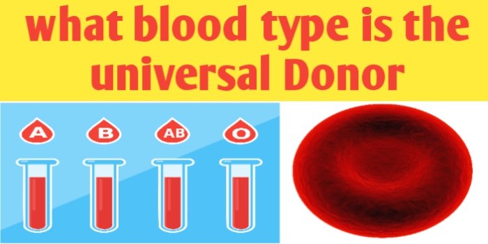 What Is A Universal Blood Donor Blood Types Group 46 OFF