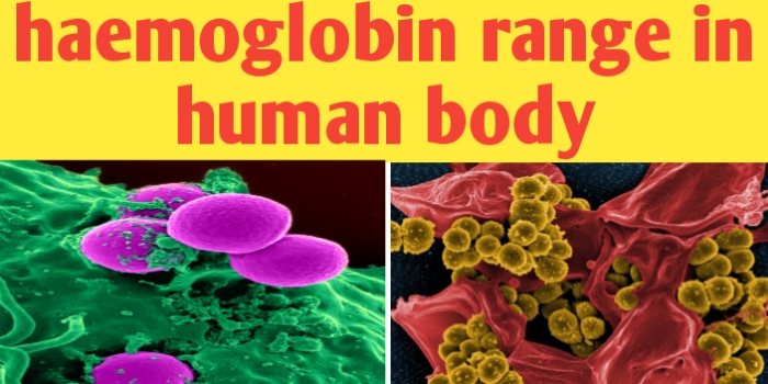 Haemoglobin range in human body: female,infants,child and adults