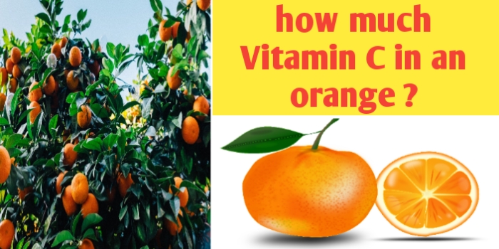 How much Vitamin C in an orange ?, nutritional value