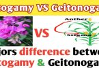 Autogamy and geitonogamy difference | Autogamy | Geitonogamy