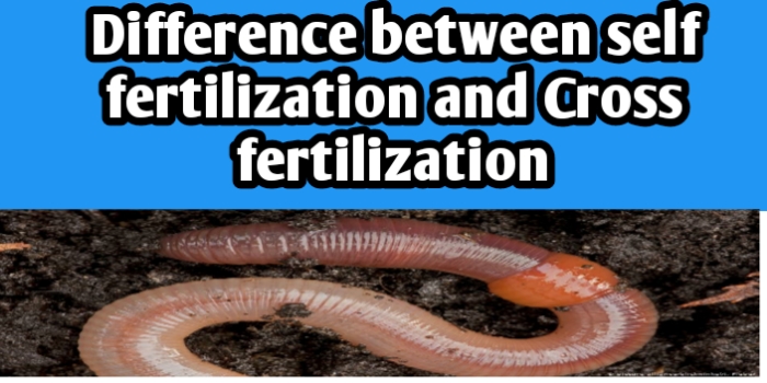 Differences between self fertilization and cross fertilization