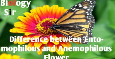 Difference between Anemophilous flowers and Entomophilous flower