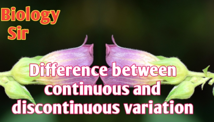 Difference between continuous and discontinuous variation