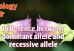 Difference between dominant allele and recessive allele