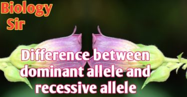 Difference between dominant allele and recessive allele