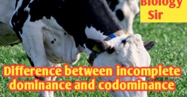 Differences between incomplete dominance and codominance