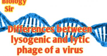 Differences between lysogenic and lytic phase of a virus