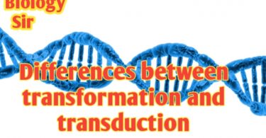 Differences between transformation and transduction