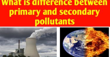 What is difference between primary and secondary pollutants
