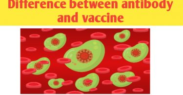Antibody and vaccine differences, definition, function and examples