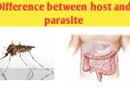 What is the difference between host and parasite