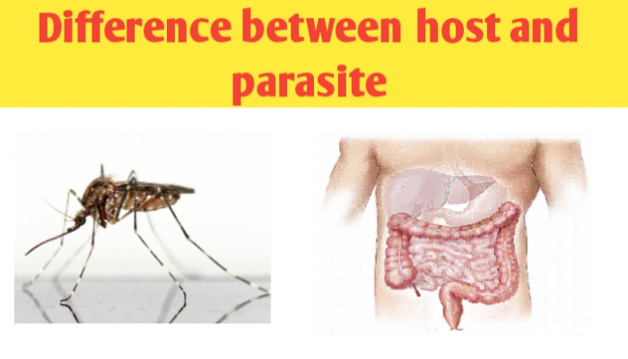 What is the difference between host and parasite