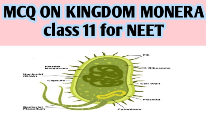 MCQ ON KINGDOM MONERA class 11 for NEET