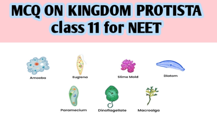 MCQ ON KINGDOM PROTISTA class 11 for NEET - Biologysir