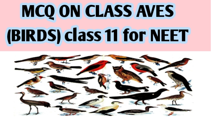 MCQ ON CLASS AVES (BIRDS) class 11 for NEET