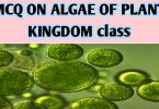 MCQ ON ALGAE OF PLANT KINGDOM class