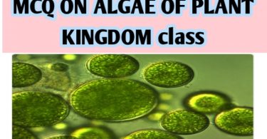 MCQ ON ALGAE OF PLANT KINGDOM class