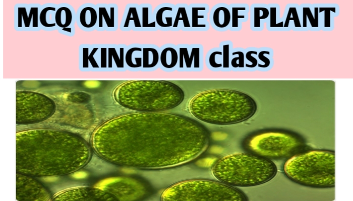 MCQ ON ALGAE OF PLANT KINGDOM class - Biologysir