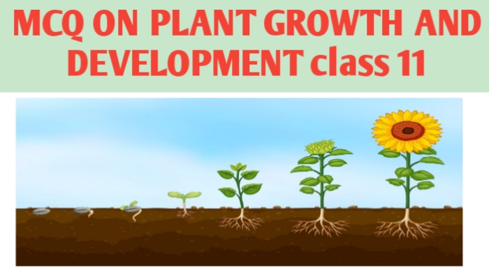 MCQ ON PLANT GROWTH AND DEVELOPMENT class 11