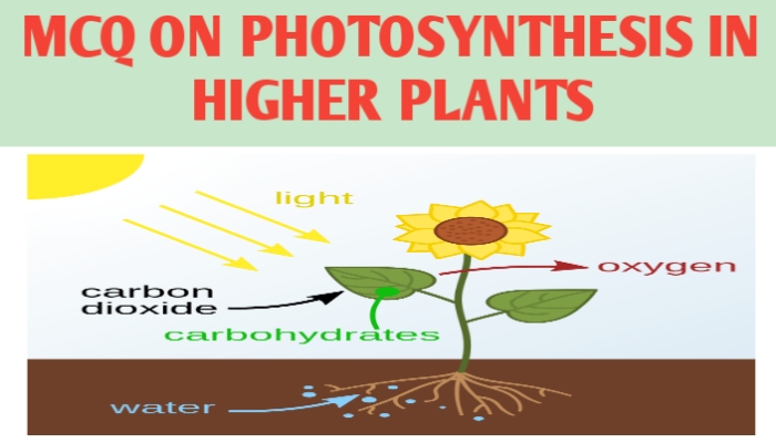 MCQ ON PHOTOSYNTHESIS IN HIGHER PLANTS