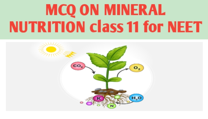 MCQ ON MINERAL NUTRITION class 11 for NEET