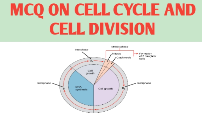 MCQ ON CELL CYCLE AND CELL DIVISION