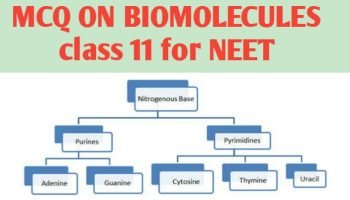 MCQ ON BIOMOLECULES class 11 for NEET - Biologysir