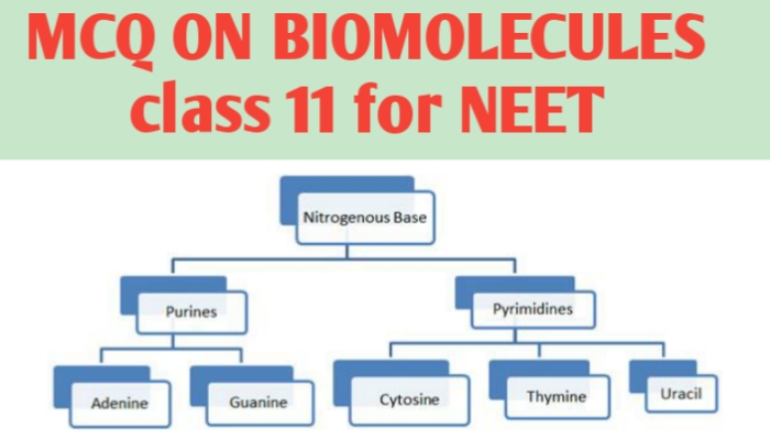 MCQ ON BIOMOLECULES class 11 for NEET