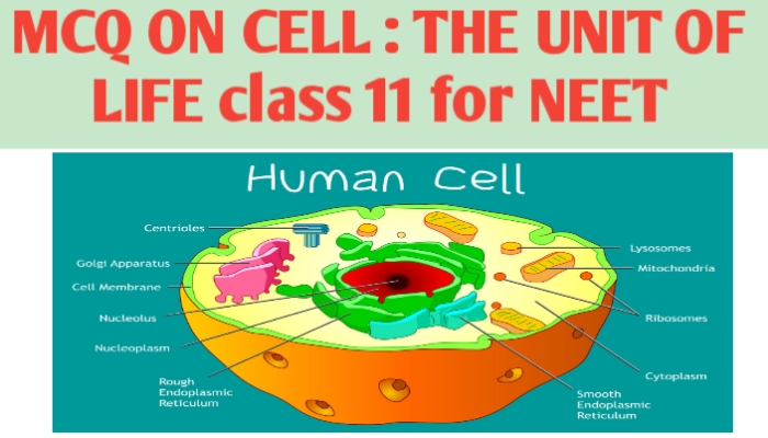 MCQ ON CELL : THE UNIT OF LIFE class 11 for NEET