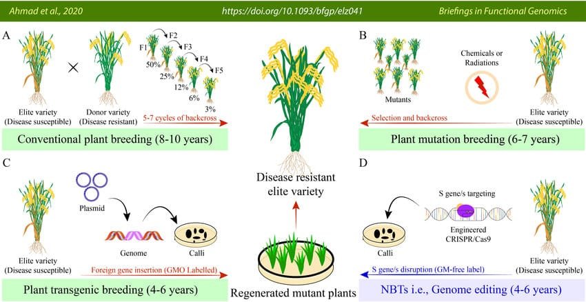 Non Conventional Methods Of Plant Breeding