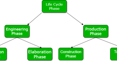 Phases in Life Cycle for NEET