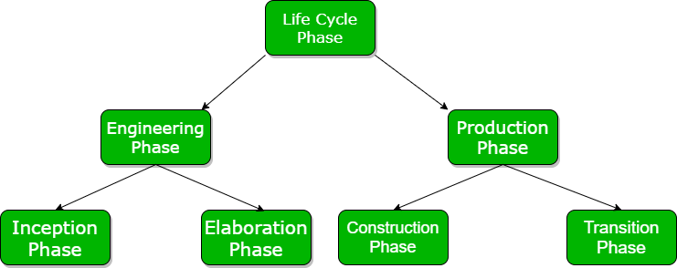 Phases in Life Cycle for NEET