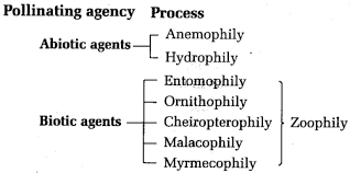 Biotic agents (Types of Pollination)