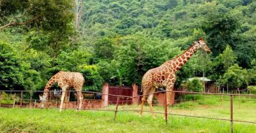 Zoological parks for NEET
